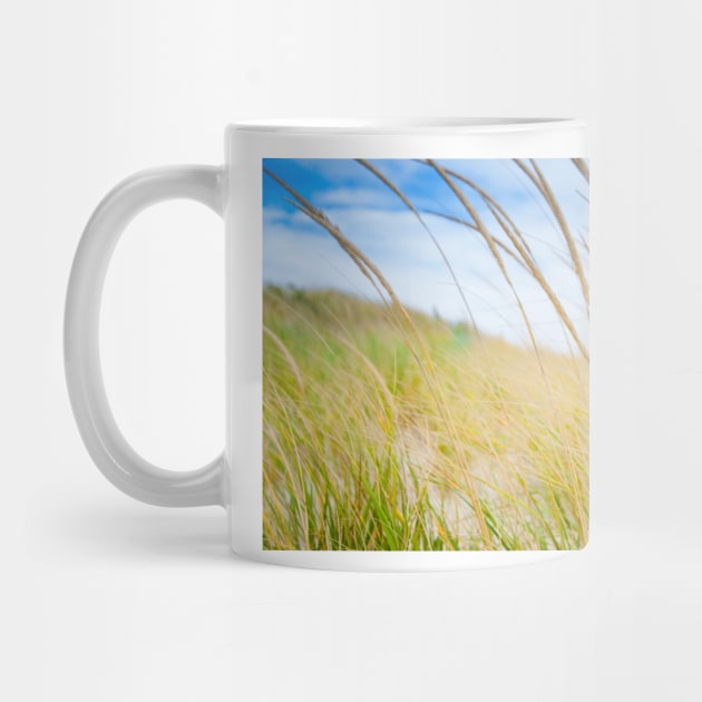 Abstract effect Marram grass blowing in wind.  imagine this on a  card or gracing your room as wall art fine art canvas or framed print on your wall by brians101